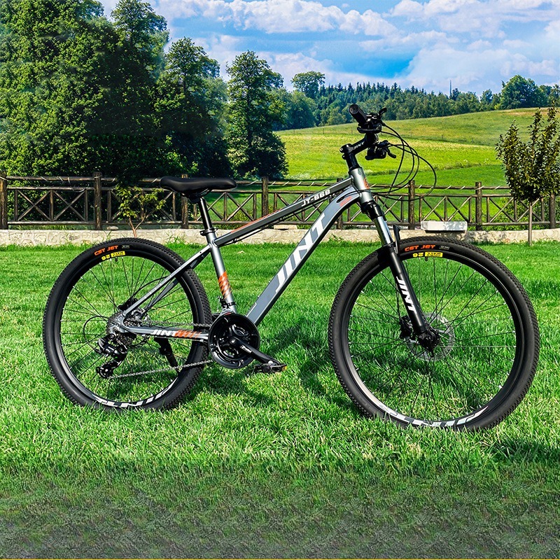 Groothandel Aluminium Alloy 26 - Commuting With Road Bike recensie en prijs